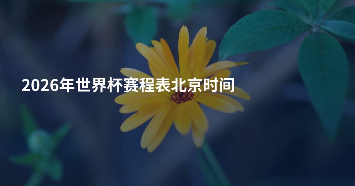 2026年世界杯赛程表北京时间