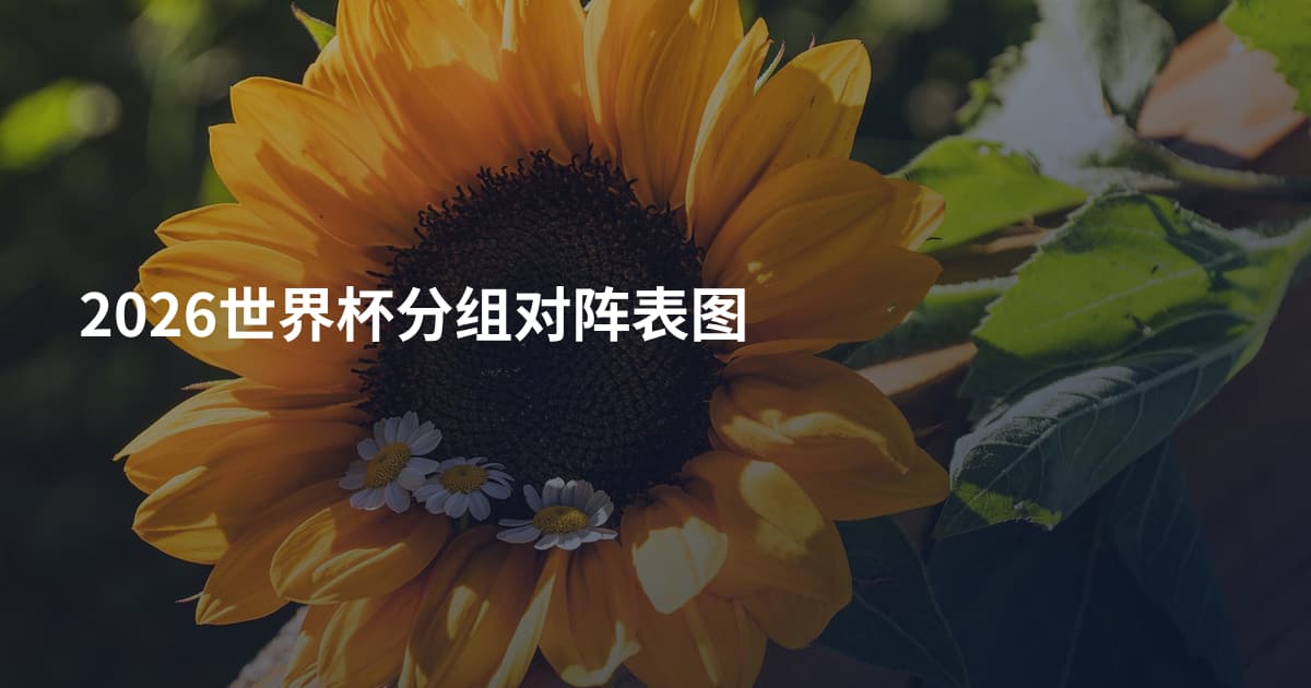 2026世界杯分组对阵表图