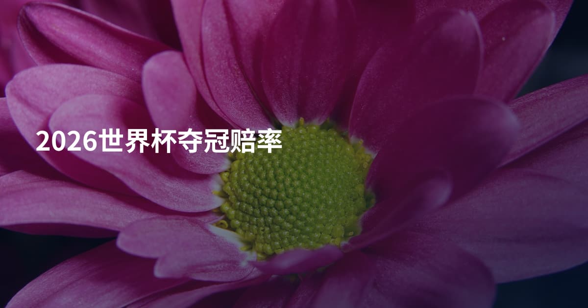 2026世界杯夺冠赔率