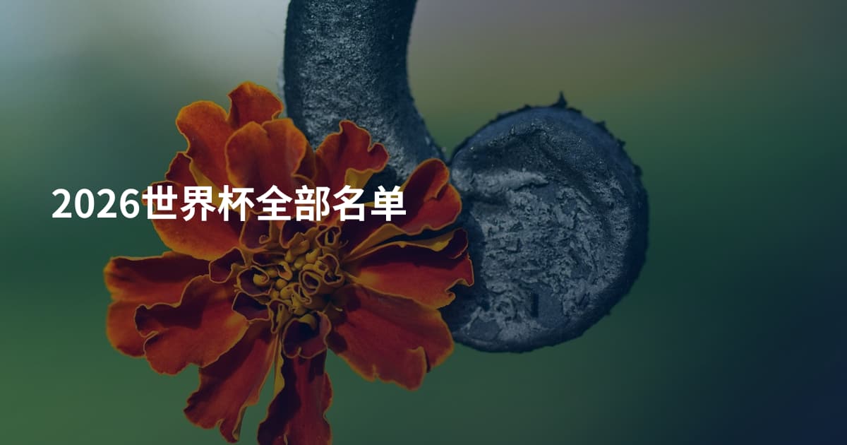 2026世界杯全部名单