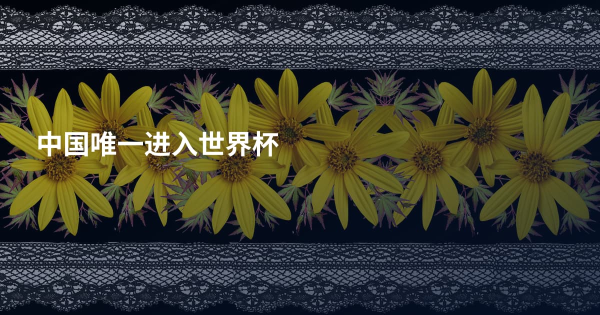 中国唯一进入世界杯