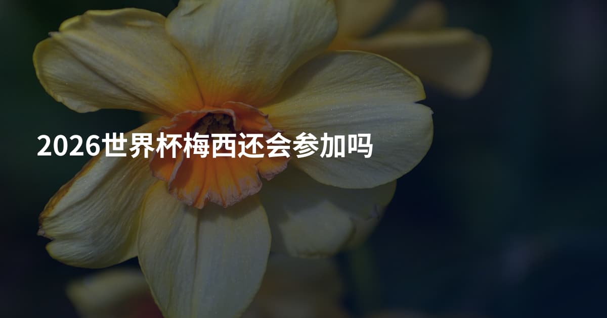 2026世界杯梅西还会参加吗