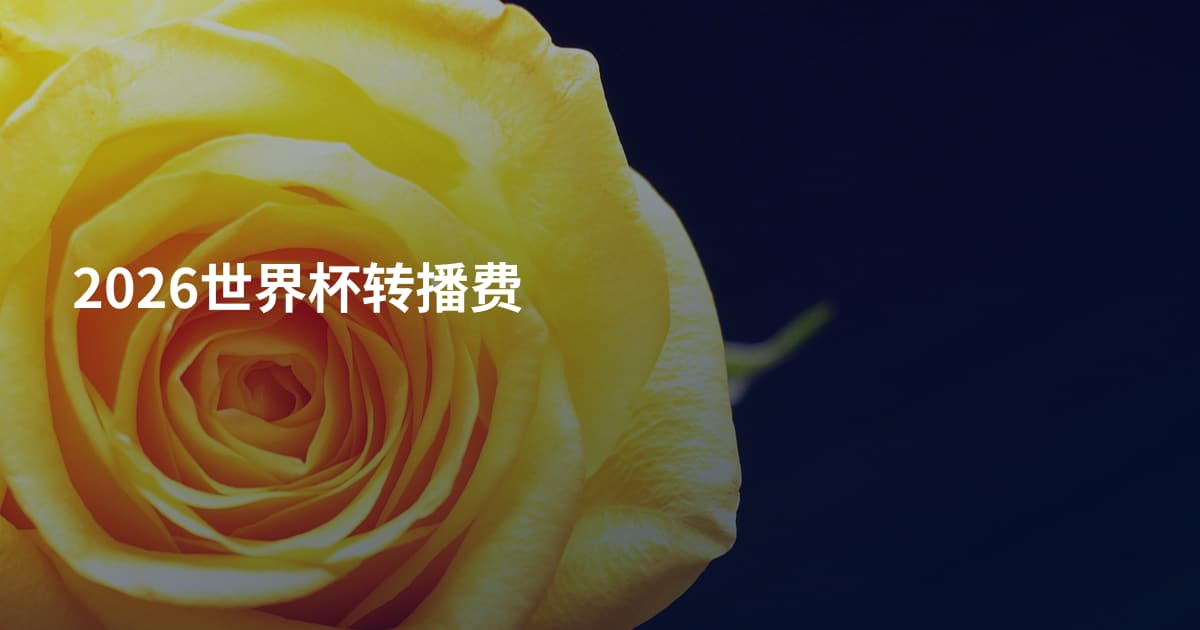 2026世界杯转播费