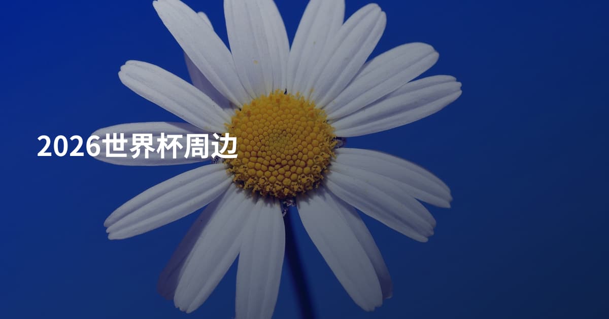 2026世界杯周边