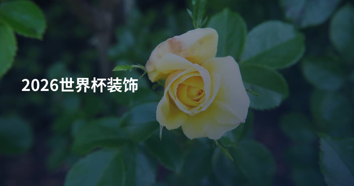 2026世界杯装饰