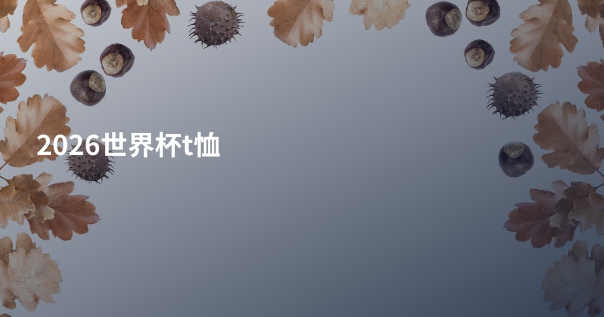 2026世界杯t恤