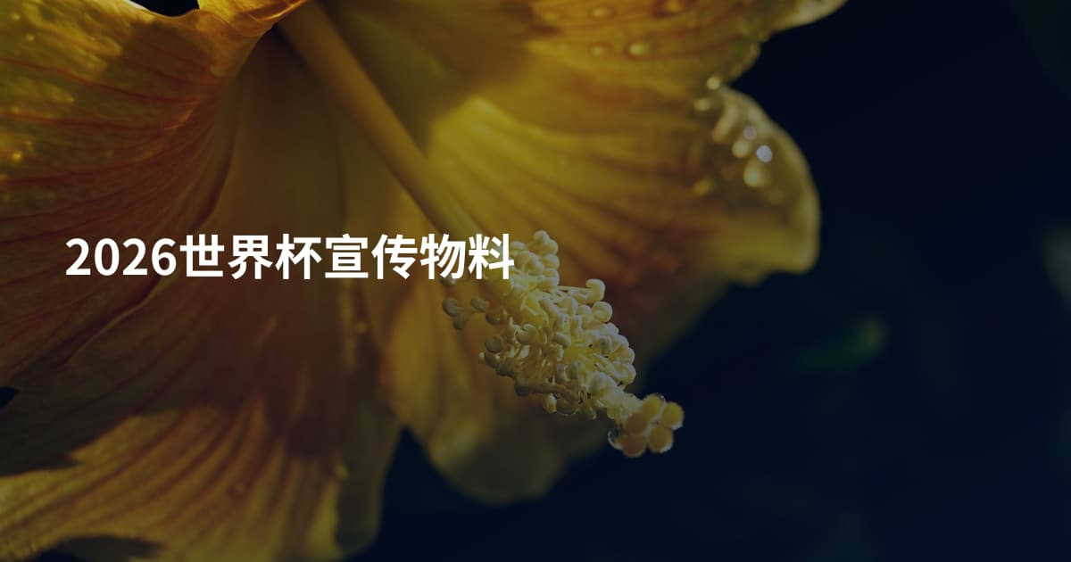 2026世界杯宣传物料