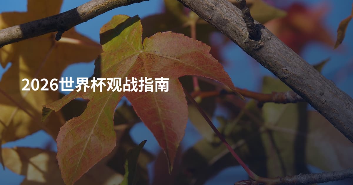 2026世界杯观战指南
