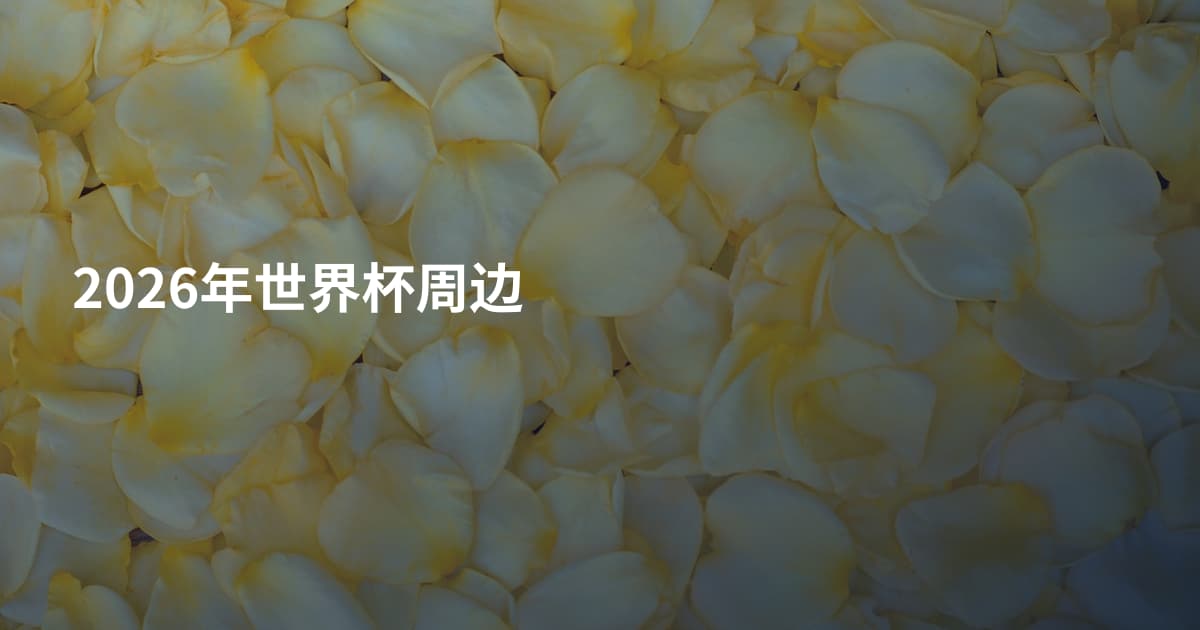 2026年世界杯周边
