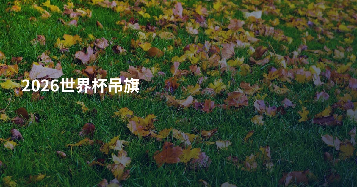 2026世界杯吊旗