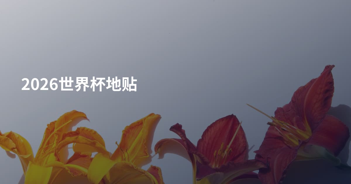 2026世界杯地贴