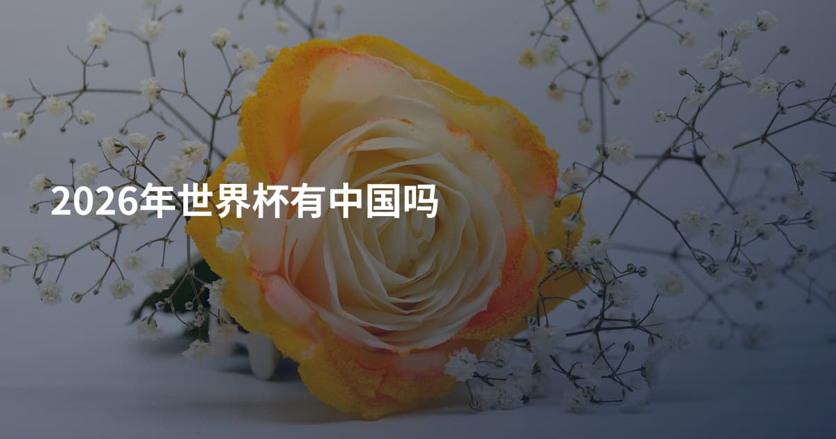 2026年世界杯有中国吗