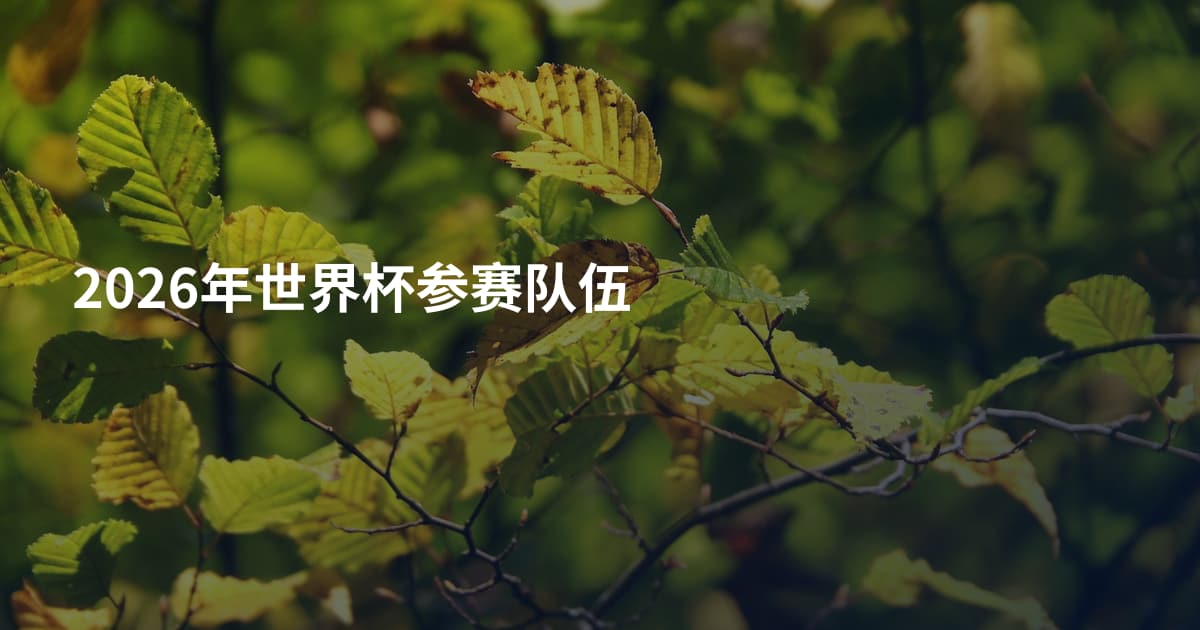 2026年世界杯参赛队伍
