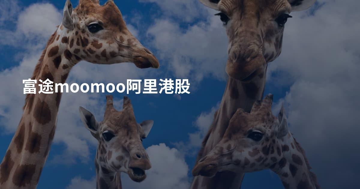 富途moomoo阿里港股