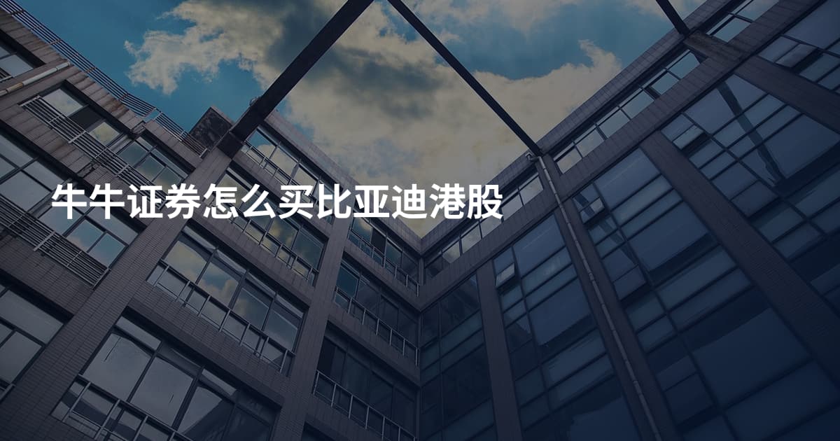 牛牛证券怎么买比亚迪港股