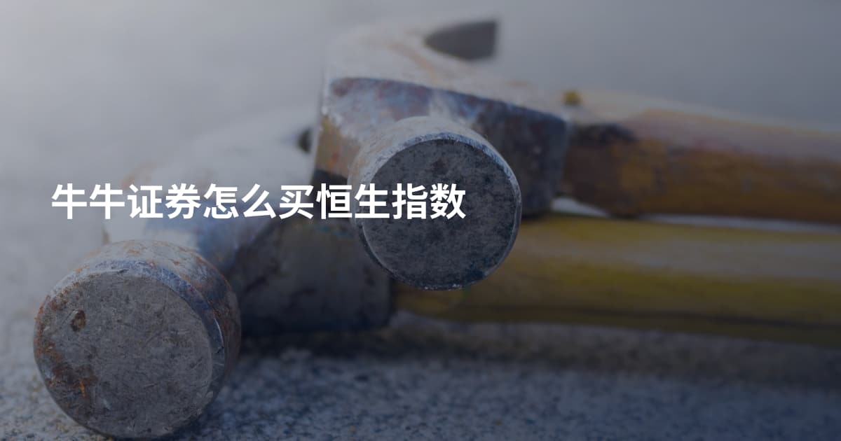 牛牛证券怎么买恒生指数