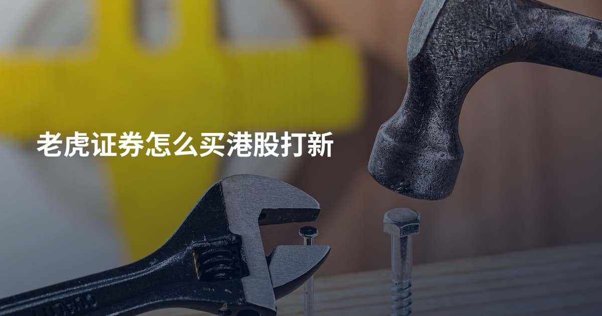老虎证券怎么买港股打新