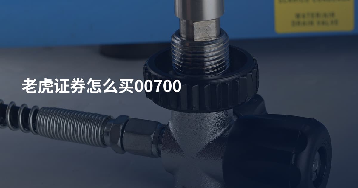 老虎证券怎么买00700