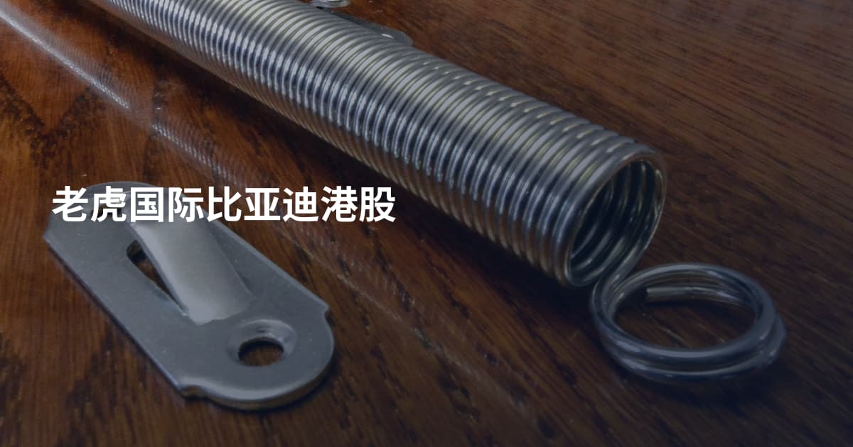 老虎国际比亚迪港股
