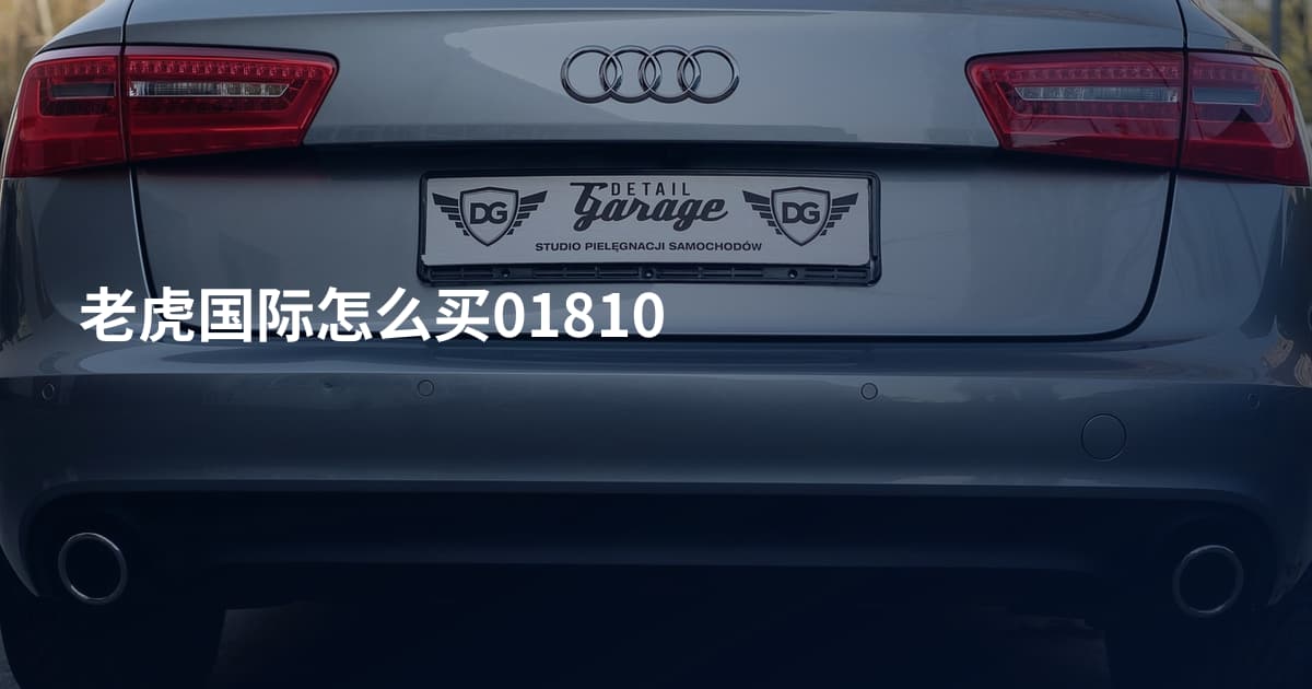 老虎国际怎么买01810