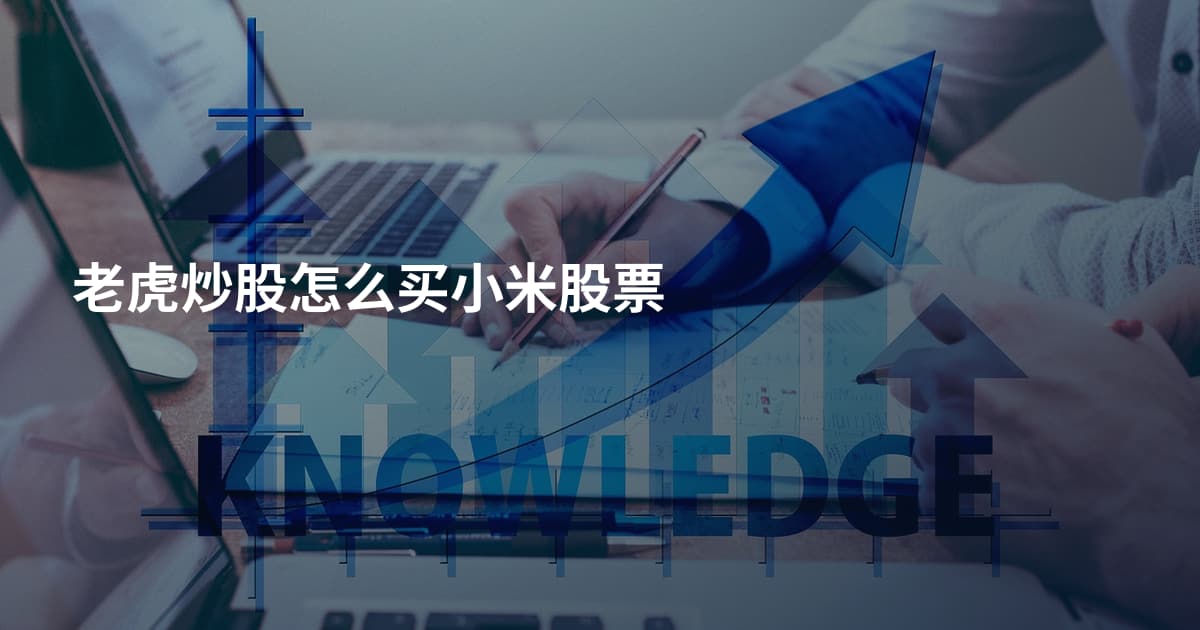 老虎炒股怎么买小米股票