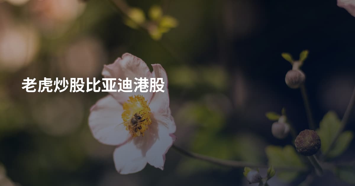 老虎炒股比亚迪港股