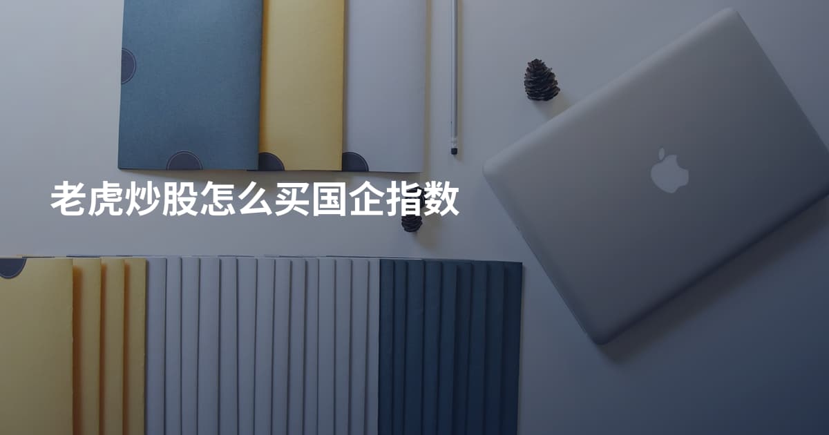 老虎炒股怎么买国企指数