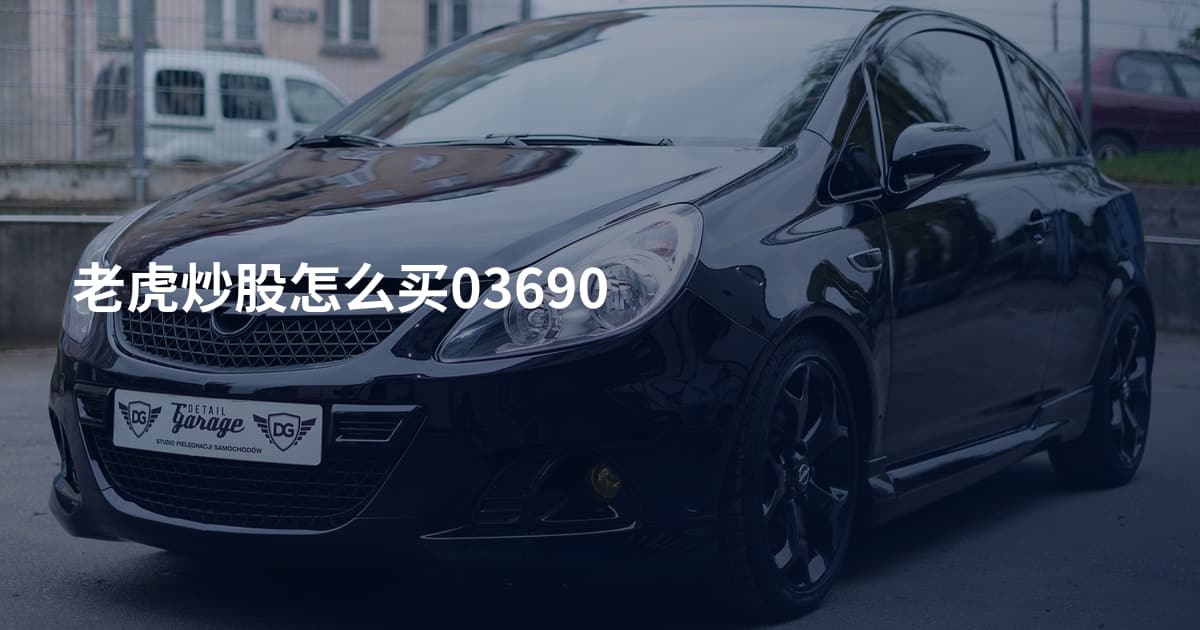 老虎炒股怎么买03690