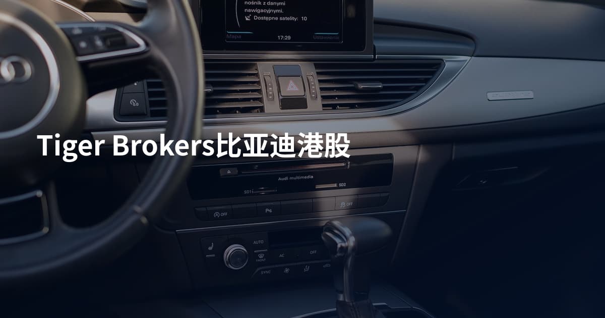 Tiger Brokers比亚迪港股