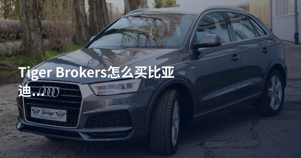 Tiger Brokers怎么买比亚迪港股