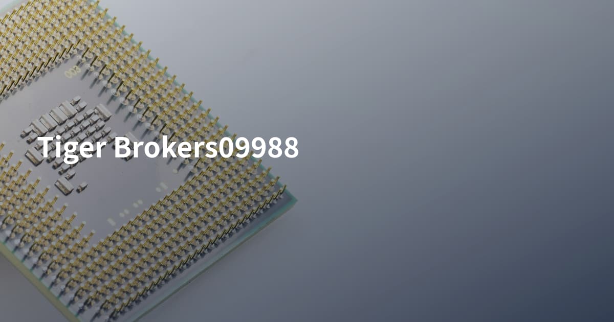 Tiger Brokers09988