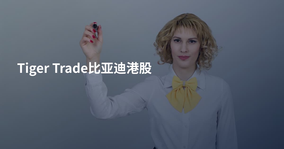 Tiger Trade比亚迪港股