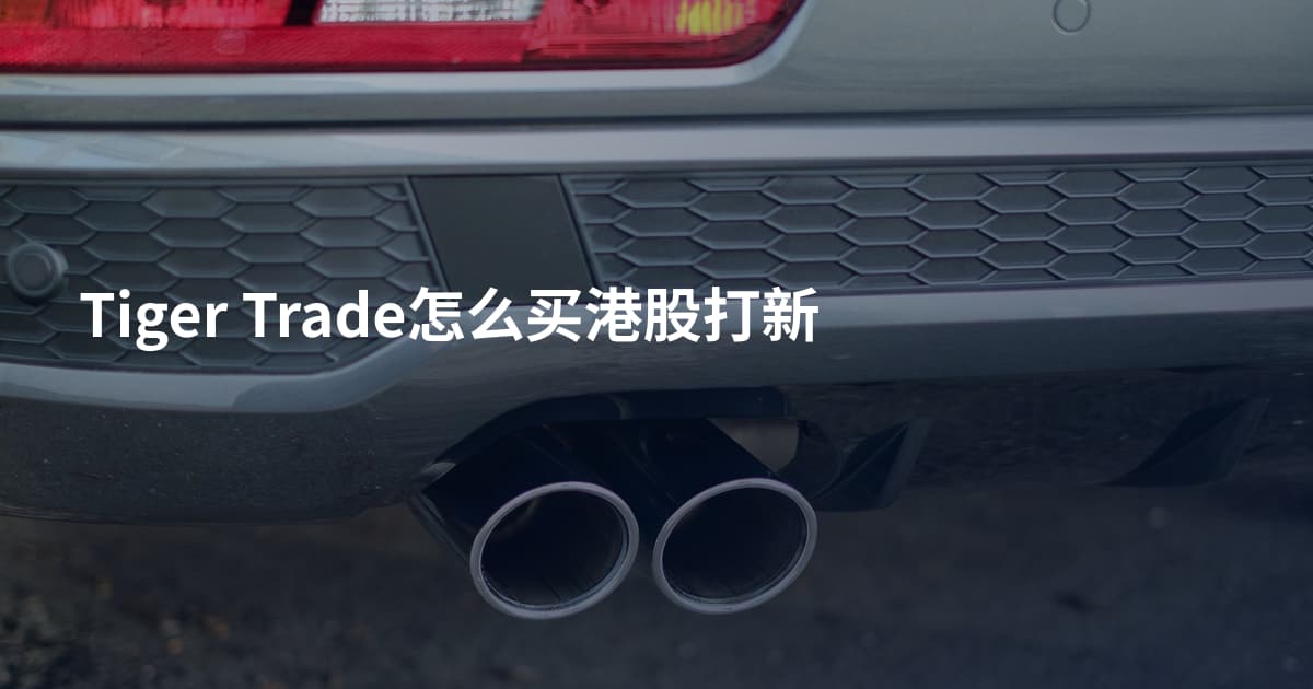 Tiger Trade怎么买港股打新
