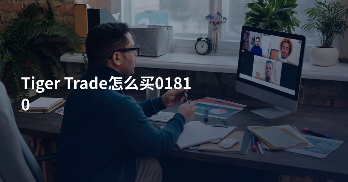 Tiger Trade怎么买01810