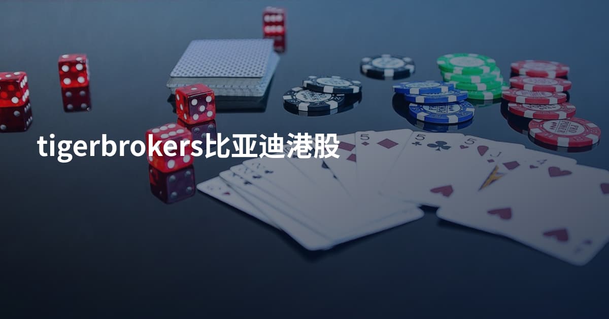 tigerbrokers比亚迪港股