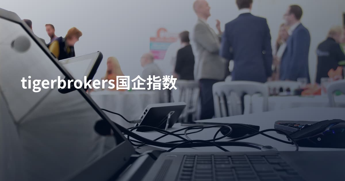 tigerbrokers国企指数