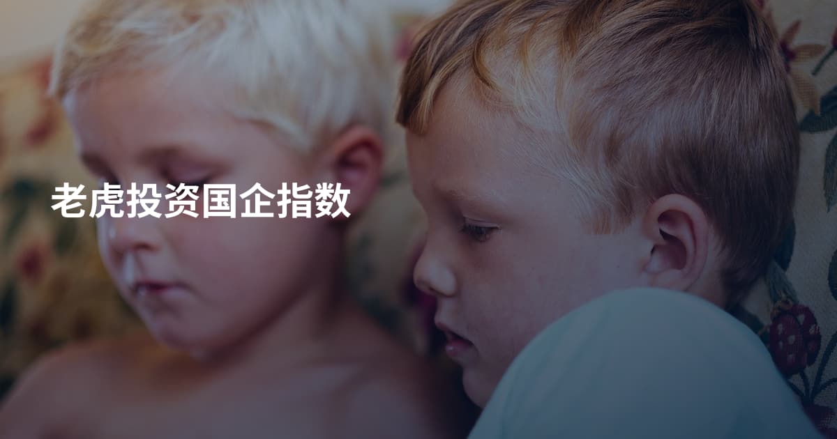 老虎投资国企指数