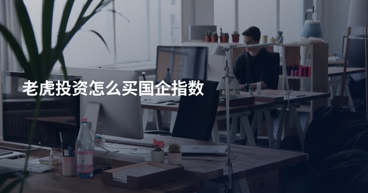 老虎投资怎么买国企指数
