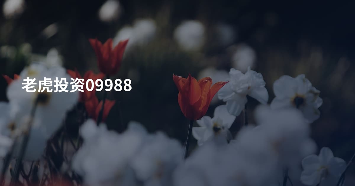 老虎投资09988