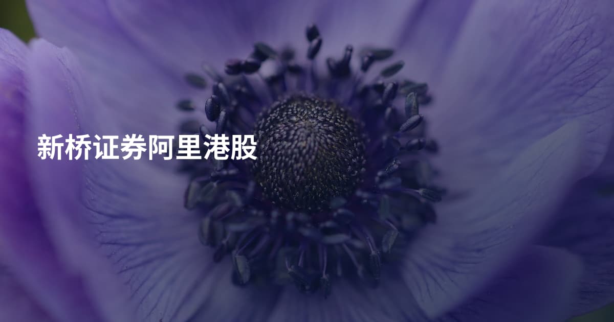 新桥证券阿里港股
