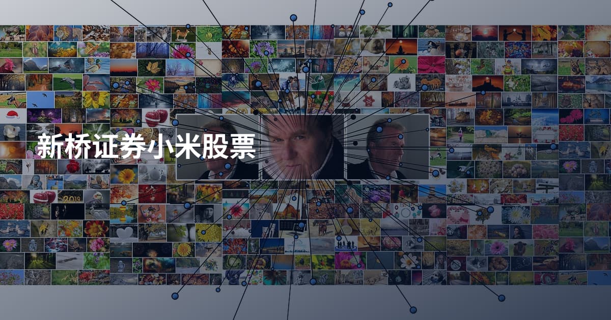 新桥证券小米股票