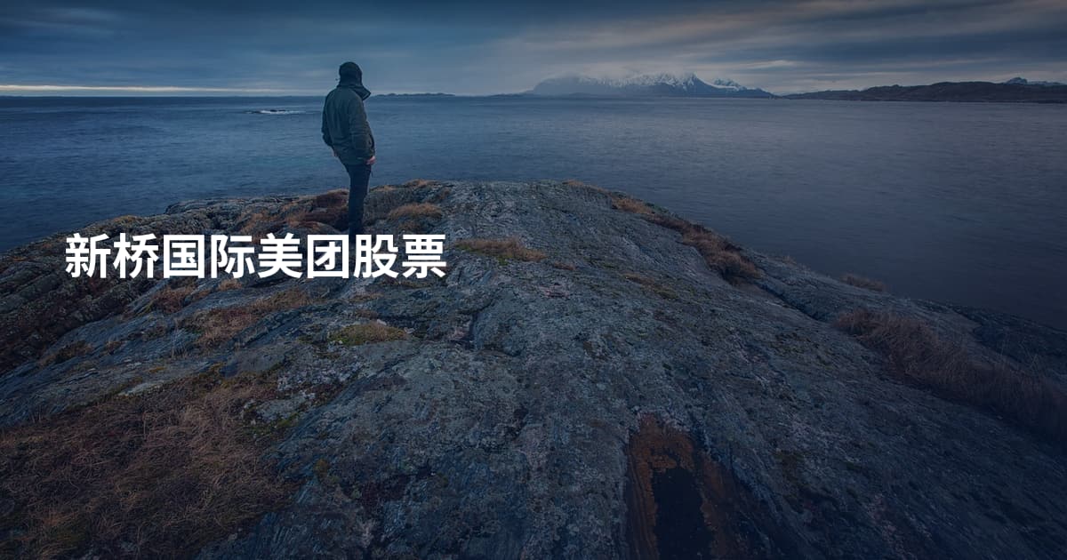 新桥国际美团股票