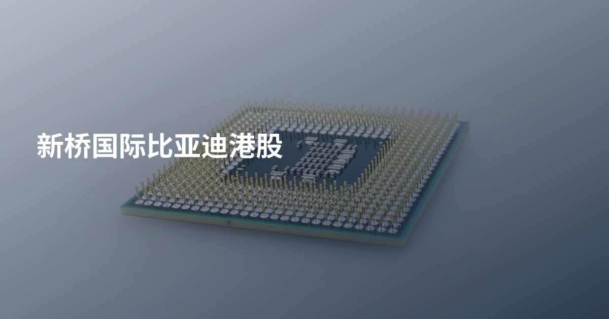 新桥国际比亚迪港股