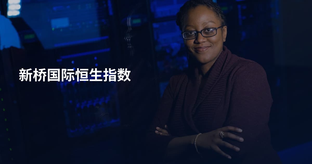 新桥国际恒生指数