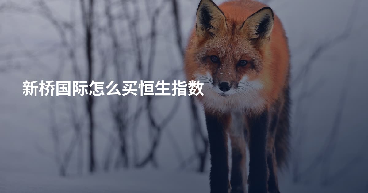 新桥国际怎么买恒生指数