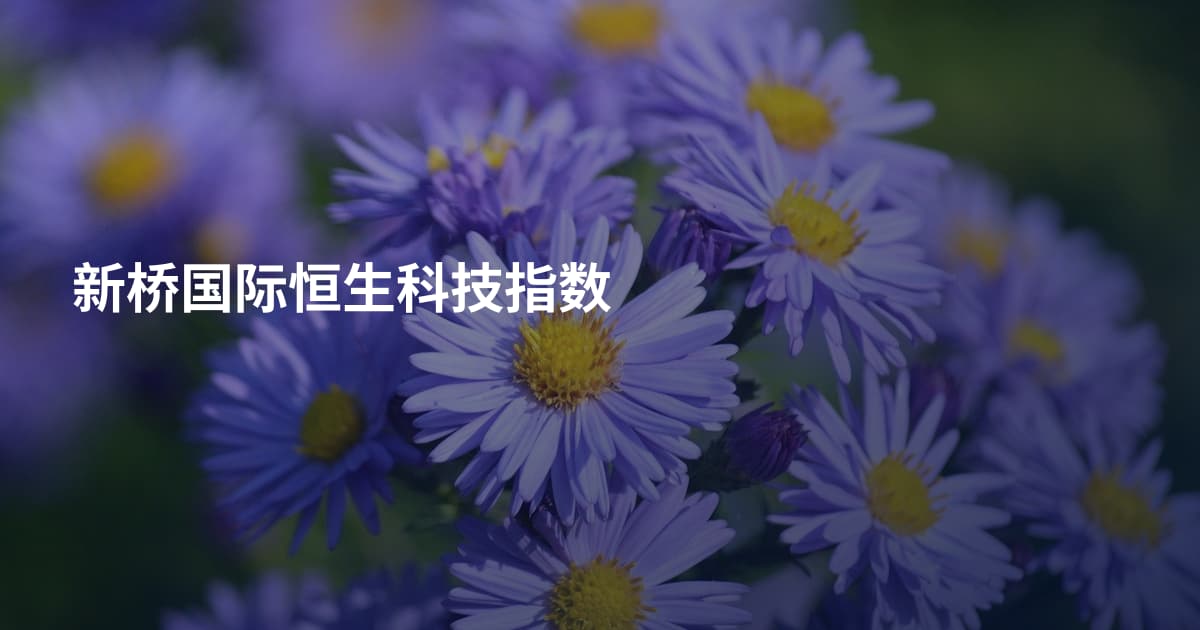 新桥国际恒生科技指数