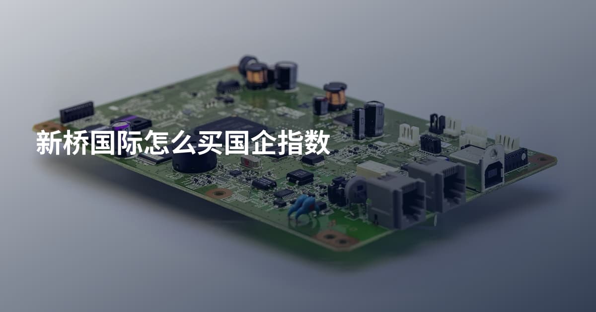 新桥国际怎么买国企指数