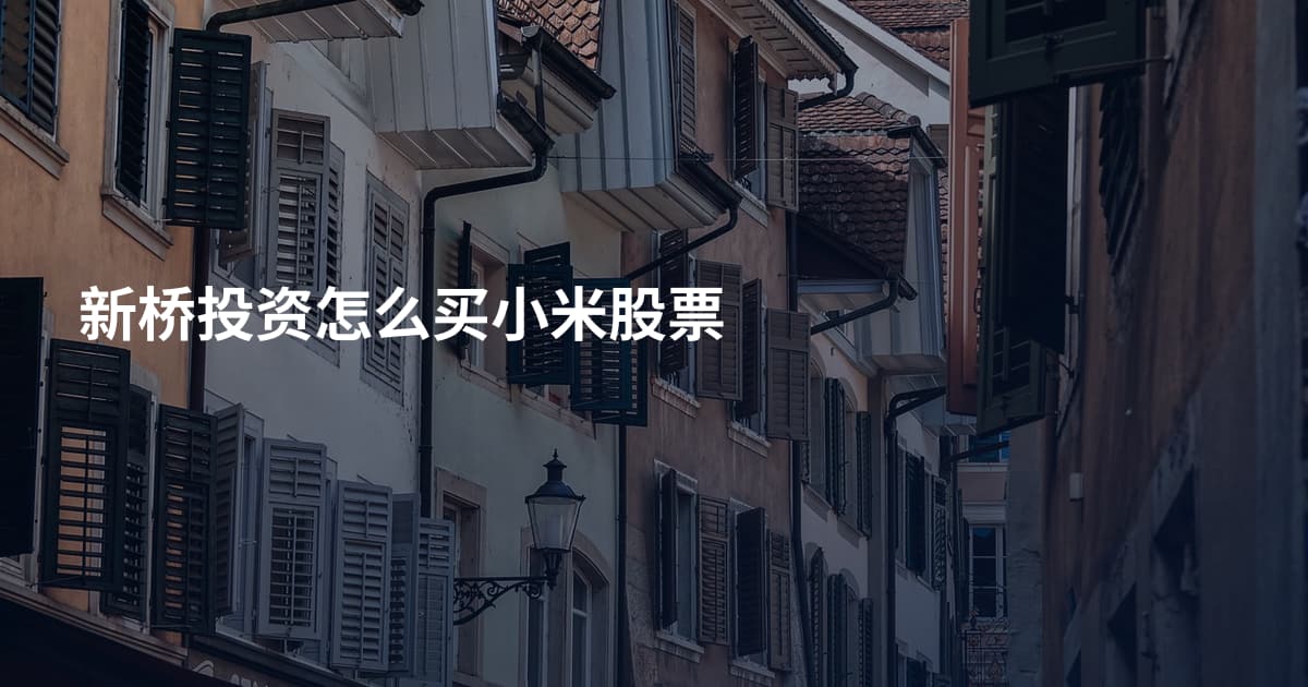 新桥投资怎么买小米股票