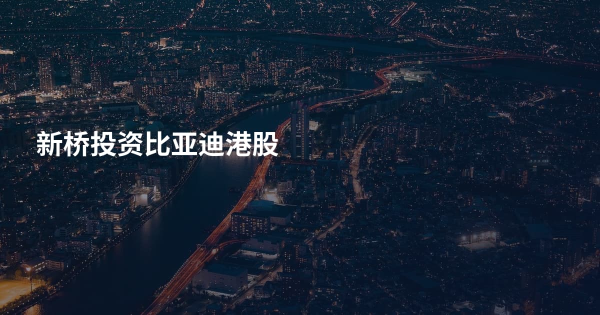 新桥投资比亚迪港股