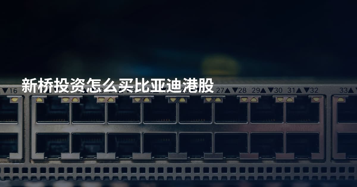新桥投资怎么买比亚迪港股